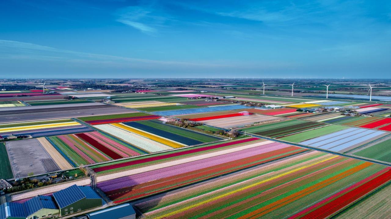 Hotel Marktstad Schagen Bagian luar foto